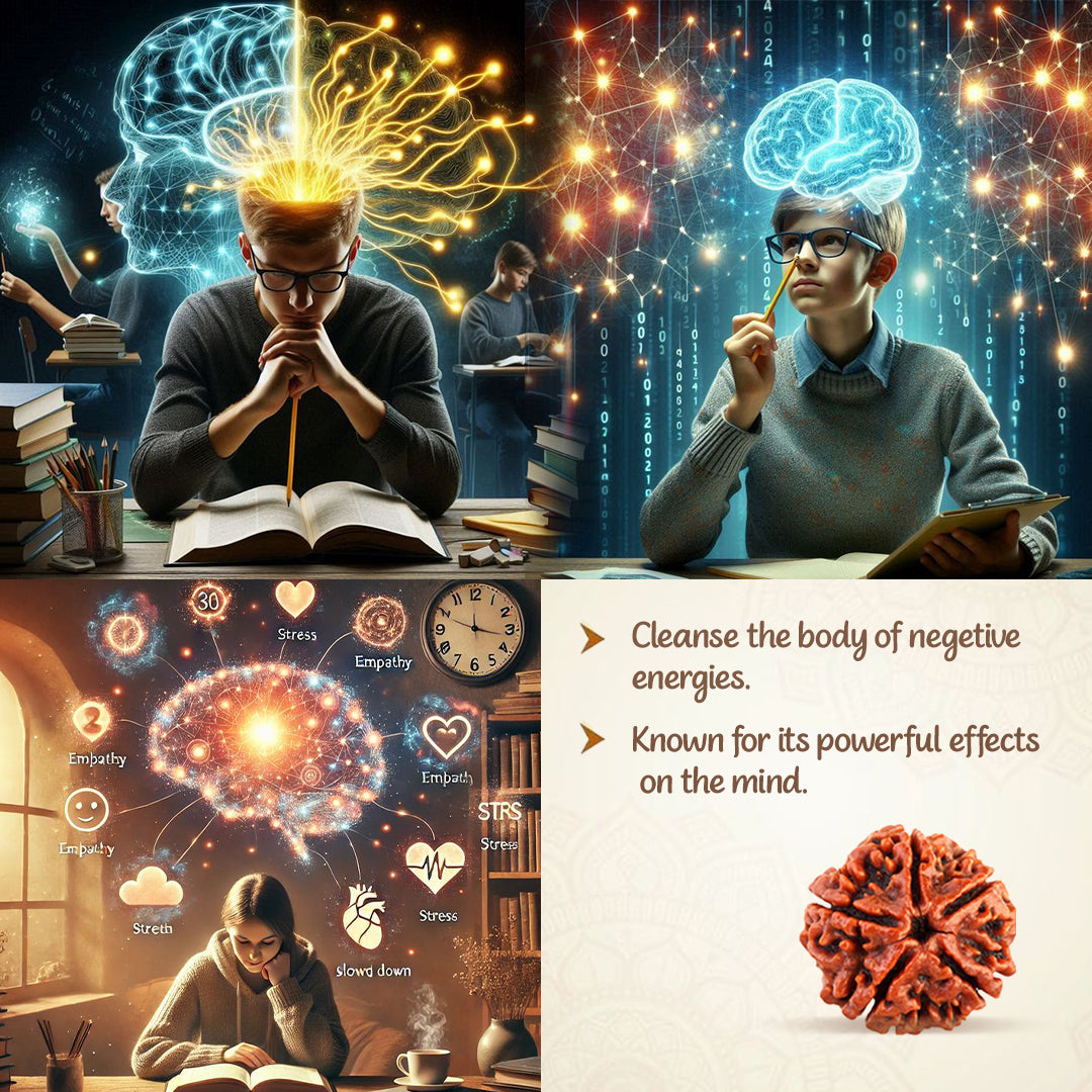 5 Mukha Shiv Rudraksha – Branch Intact (Nepal Origin)