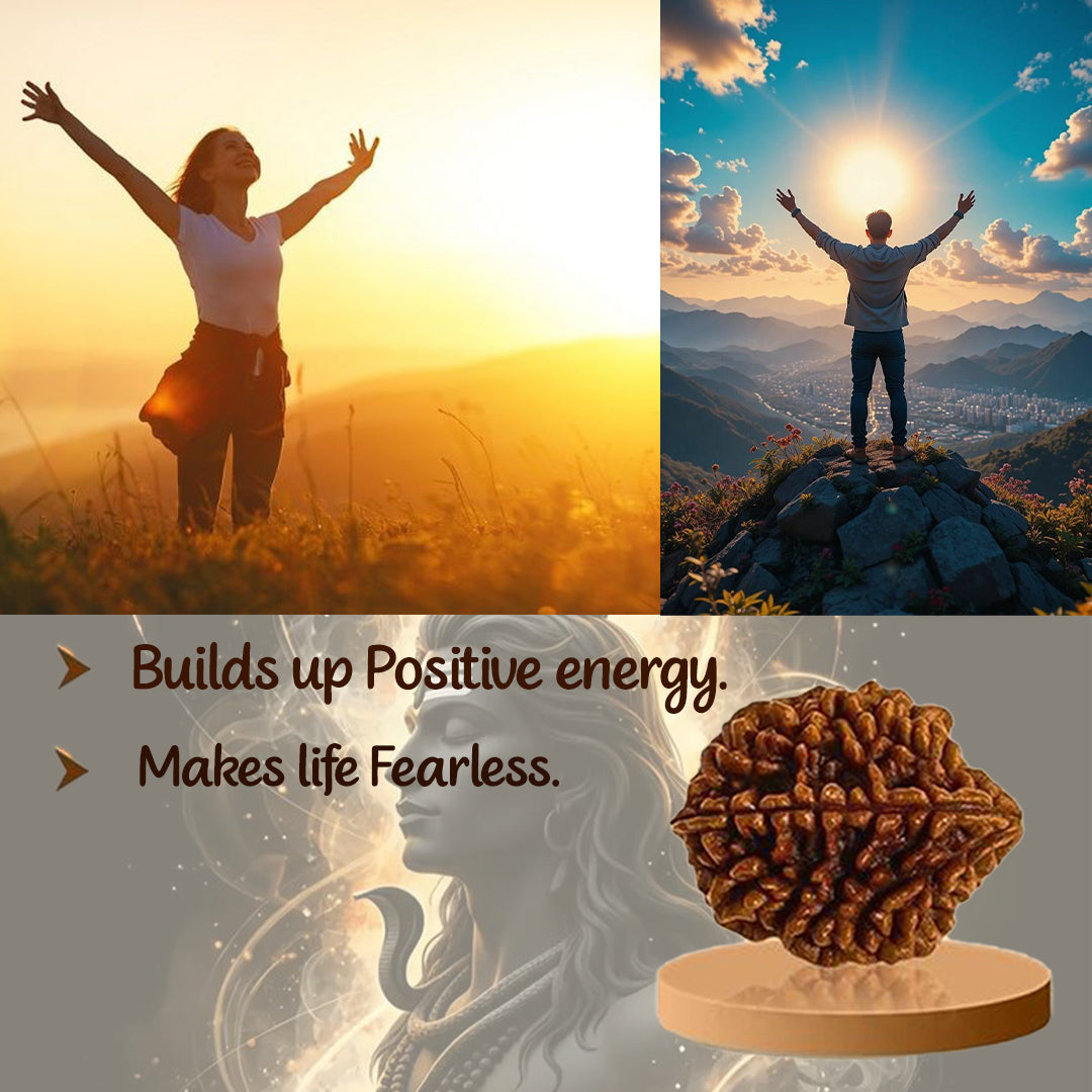 2 Mukha Shiv Rudraksha – Branch Intact (Nepal Origin)